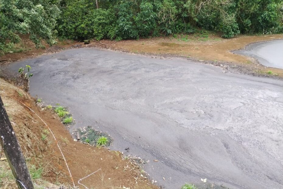 WhatsApp Image 2024-05-13 at 7.34.39 PM (1)