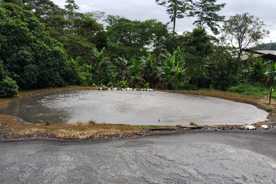 WhatsApp Image 2024-05-13 at 7.34.39 PM