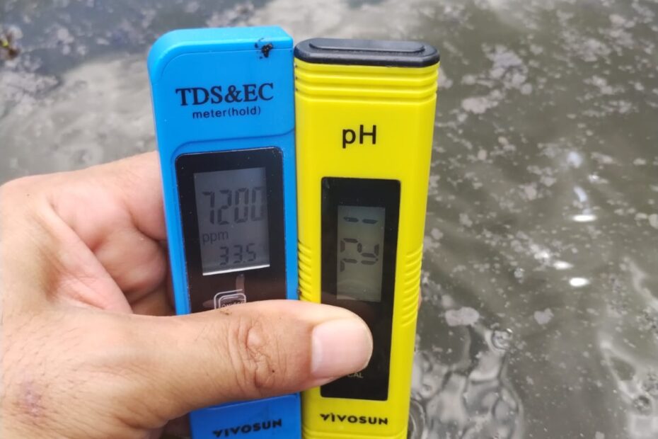 WhatsApp Image 2024-05-13 at 7.55.30 PM (1)