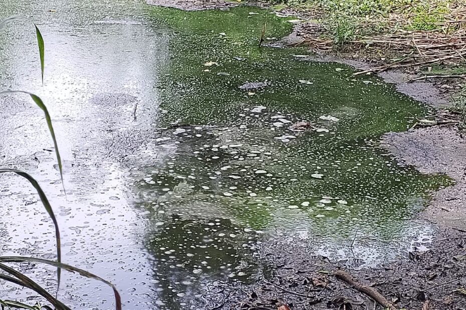 WhatsApp Image 2024-05-13 at 7.55.30 PM (2)