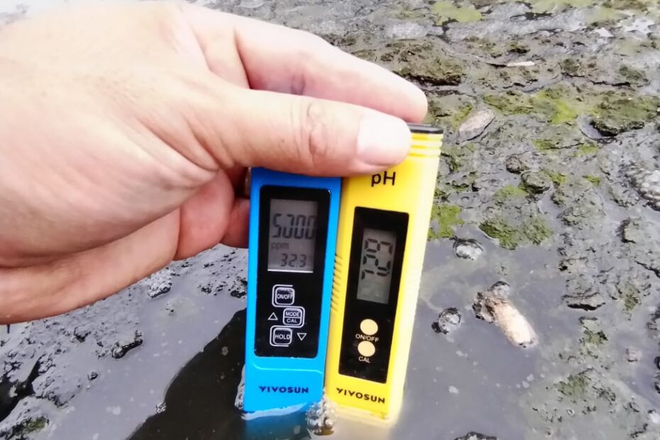 WhatsApp Image 2024-05-13 at 7.55.31 PM (2)