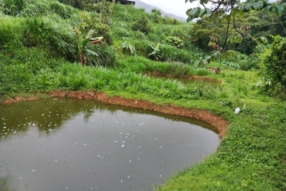 WhatsApp Image 2024-05-13 at 7.55.31 PM