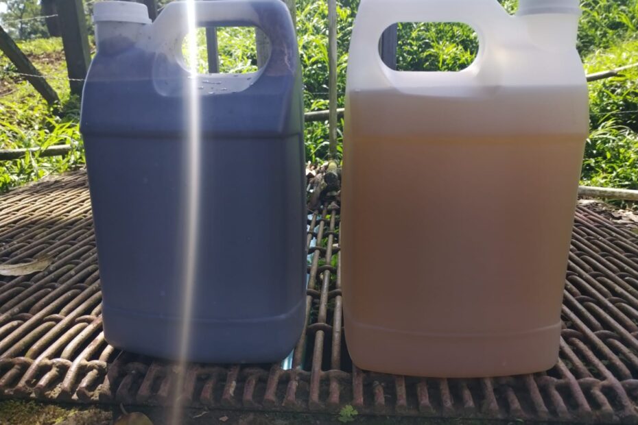 WhatsApp Image 2024-05-13 at 8.08.02 PM (1)