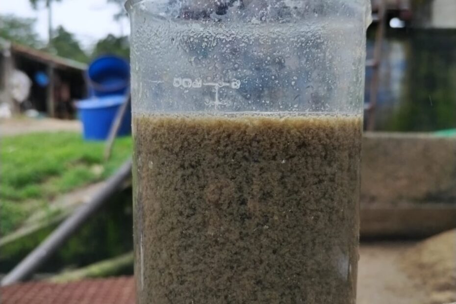 WhatsApp Image 2024-05-13 at 8.08.02 PM (2)