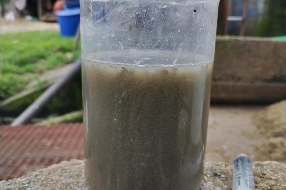 WhatsApp Image 2024-05-13 at 8.08.02 PM (3)