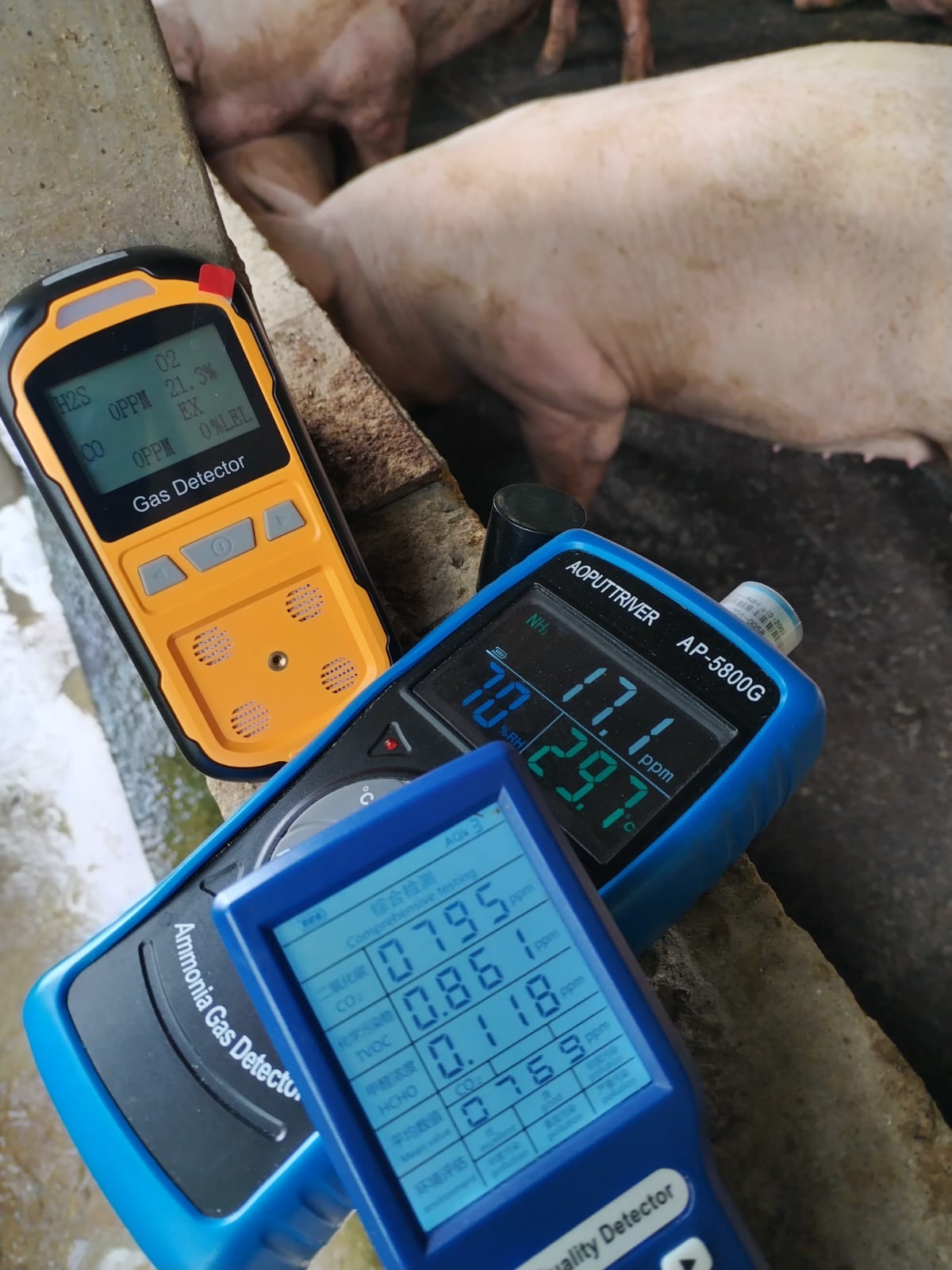 WhatsApp Image 2024-09-14 at 8.35.43 AM