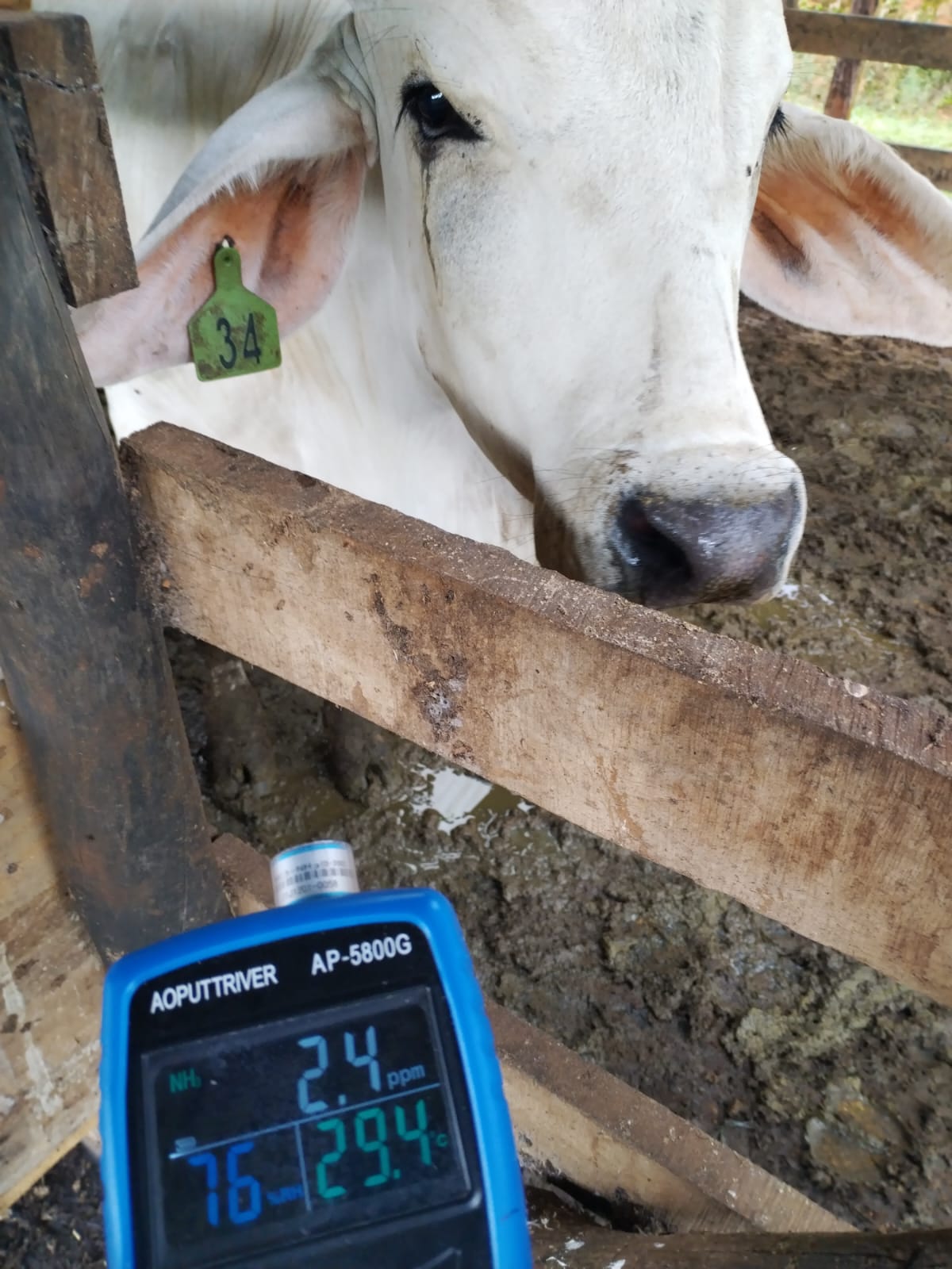 Gestion gases Tóxicos