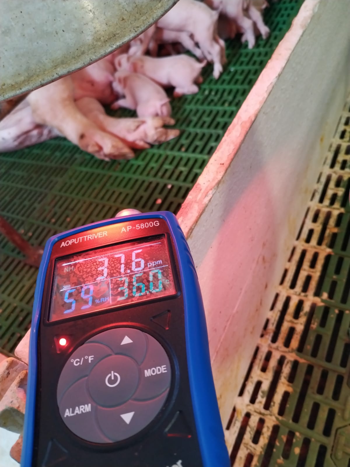 Gestion gases Tóxicos