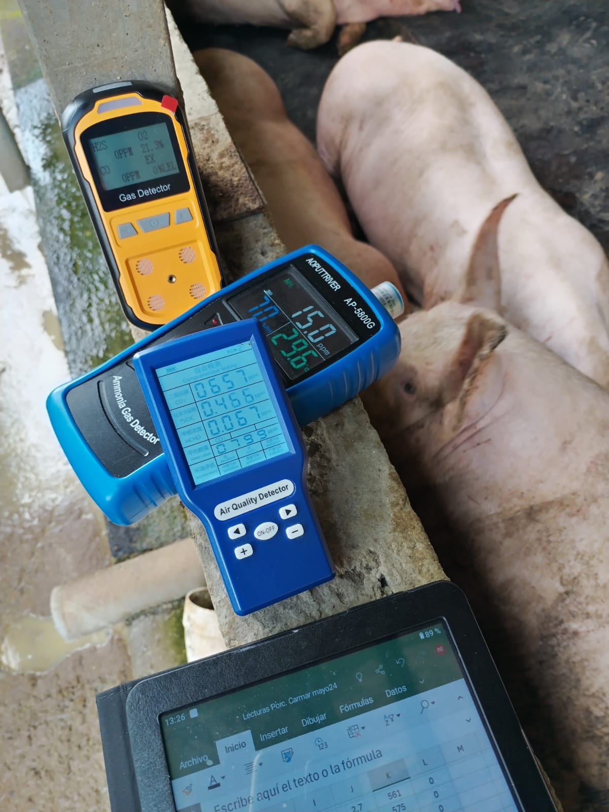 WhatsApp Image 2024-09-14 at 8.35.44 AM