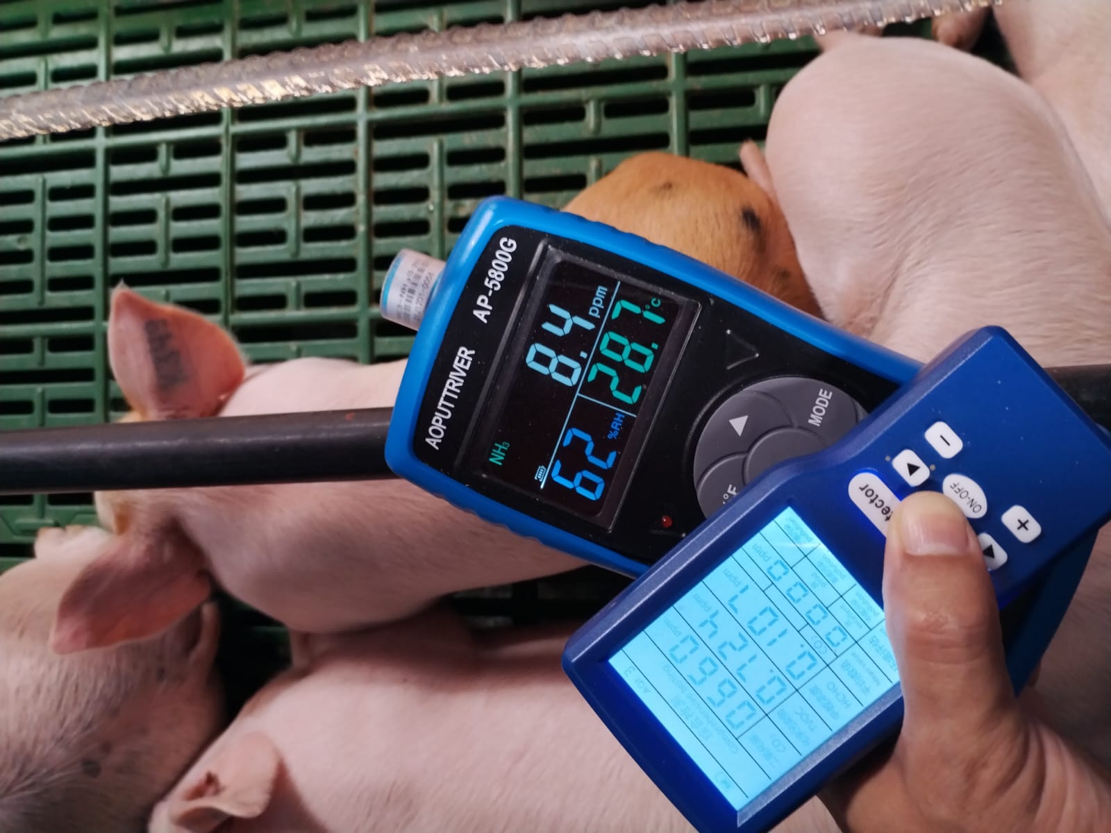 WhatsApp Image 2024-09-14 at 8.35.45 AM