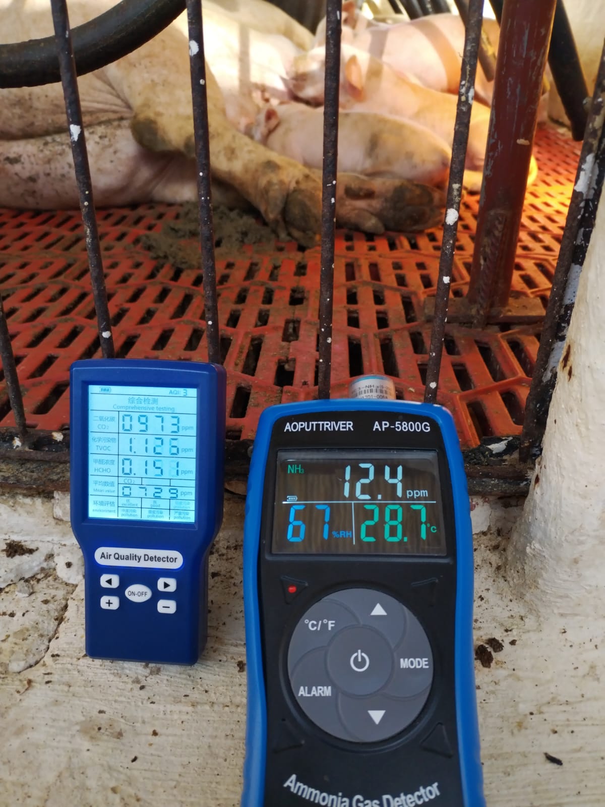 WhatsApp Image 2024-09-14 at 8.35.46 AM