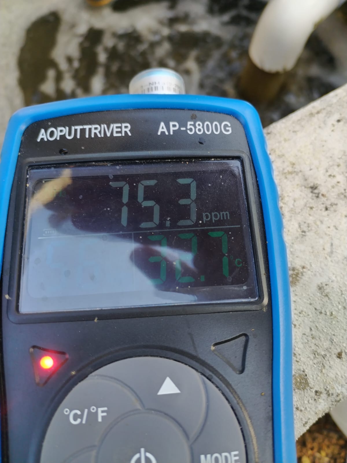 WhatsApp Image 2024-09-14 at 8.35.47 AM