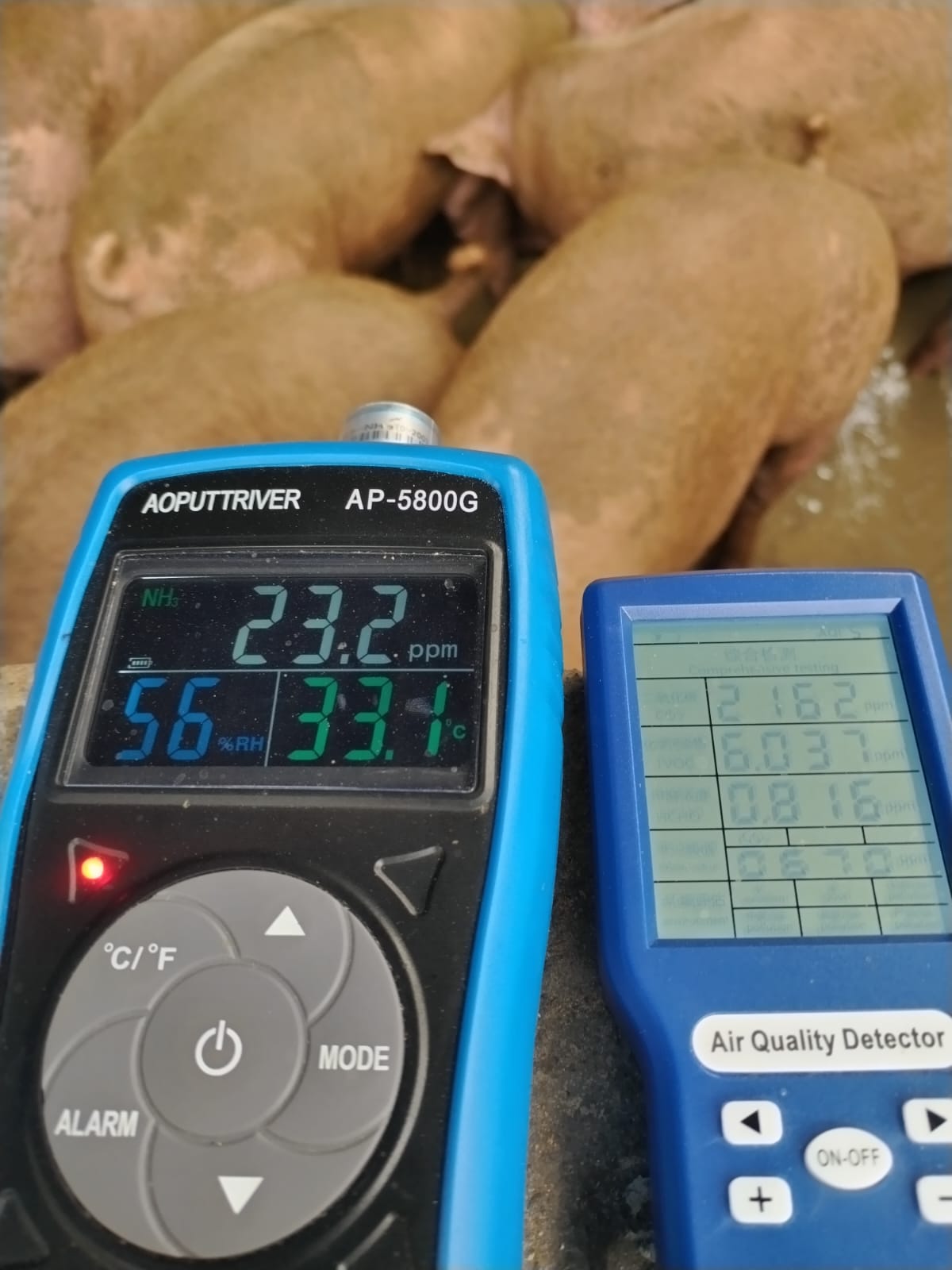 WhatsApp Image 2024-09-14 at 8.35.48 AM