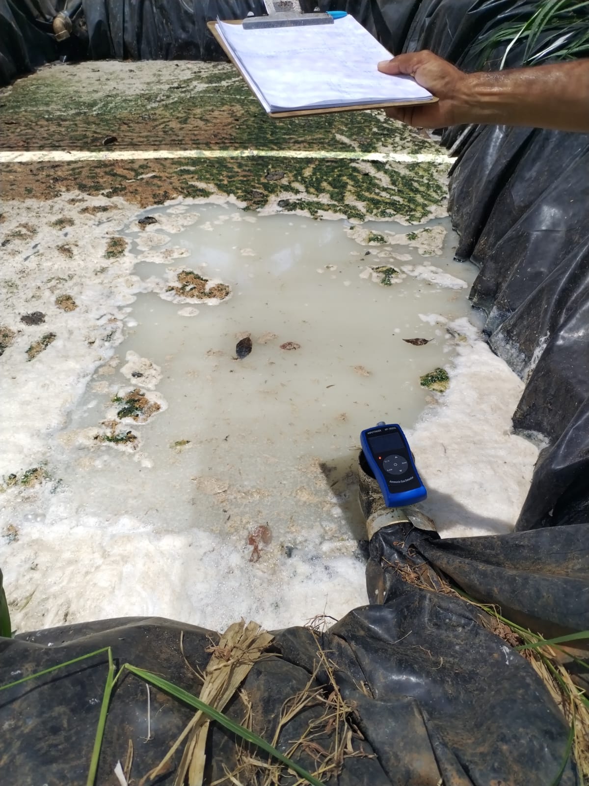 WhatsApp Image 2024-09-14 at 8.38.31 AM (1)