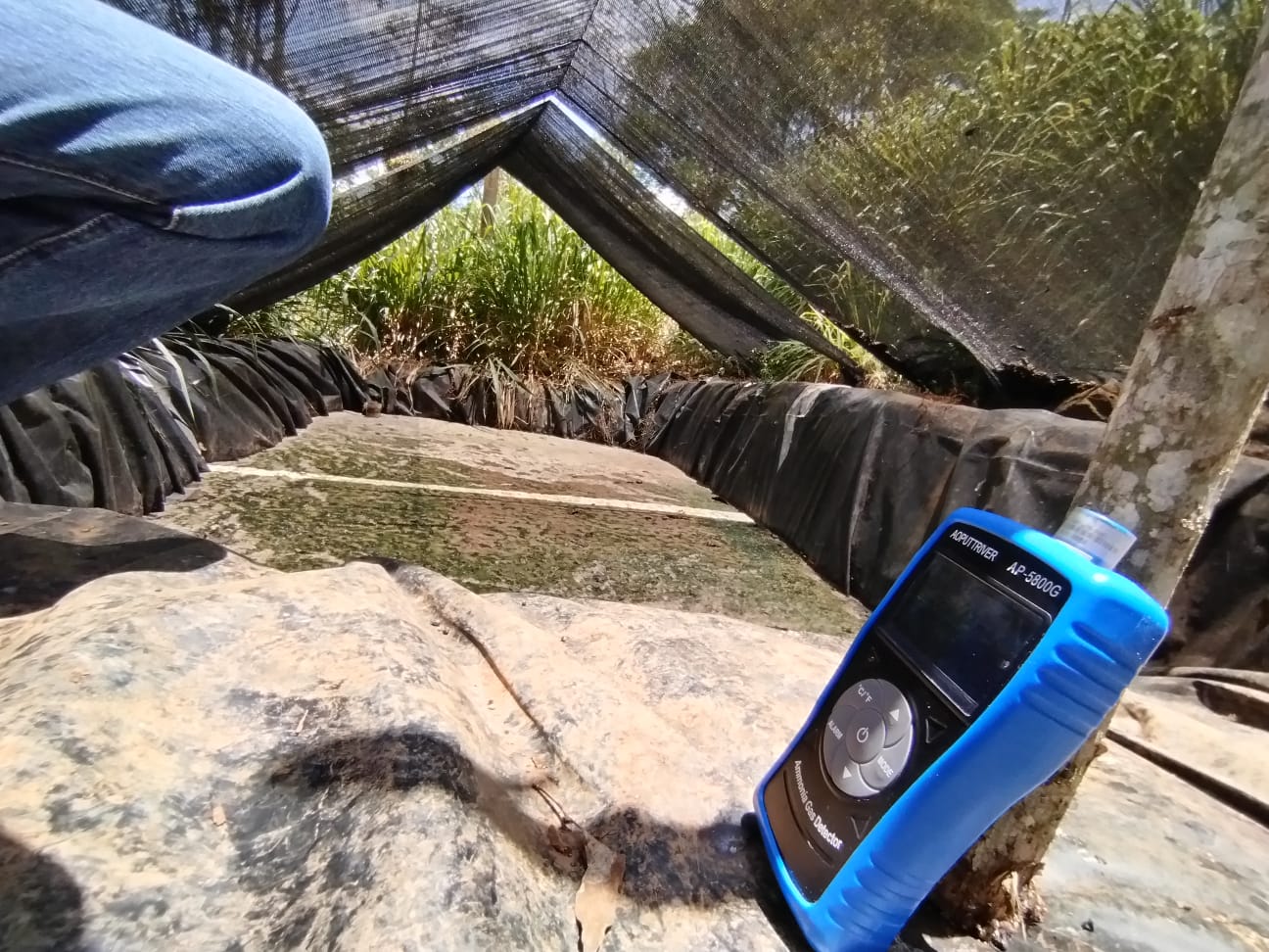 WhatsApp Image 2024-09-14 at 8.38.31 AM (2)